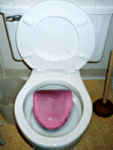 WC   LANGUE